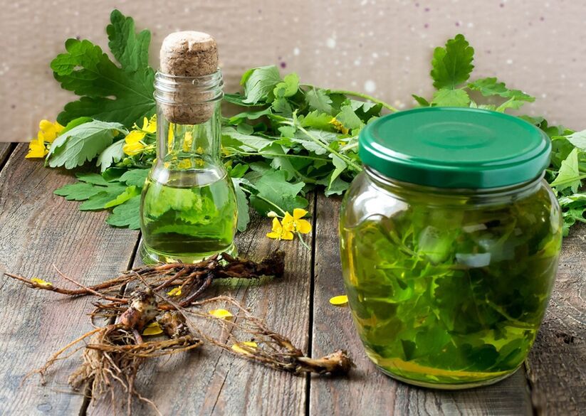 tintura de celidonia para la prostatitis